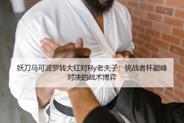 妖刀马可波罗转大红对Fly老夫子：挑战者杯巅峰对决的战术博弈